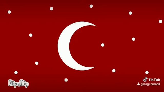 Я в тик токе (флаг Турции)?? анимация смотреть онлайн