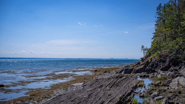 NATURE'S WHITE NOISE • St. Lawrence Estuary • Calm Sounds that Block Distractions смотреть онлайн