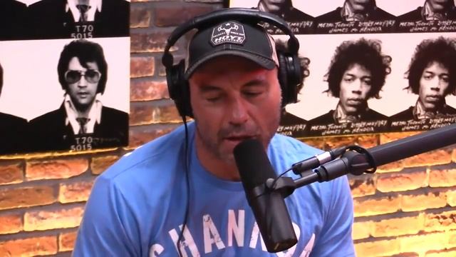 Joe Rogan breaks down who would win Gorilla vs Grizzly Bear смотреть онлайн
