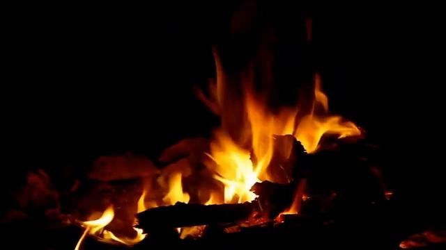 Звук костра и треск дров, ночные звуки леса, пение сверчка. смотреть онлайн