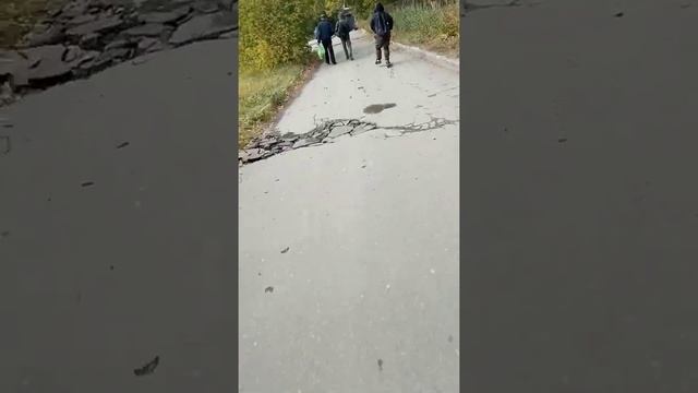 покатушки Да гамаков на самокатах смотреть онлайн