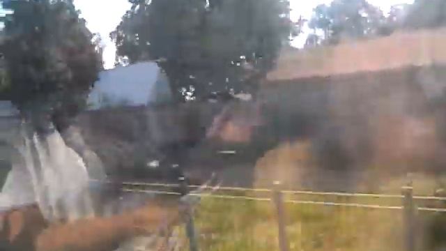 Перегон Мытищи - Пушкино смотреть онлайн