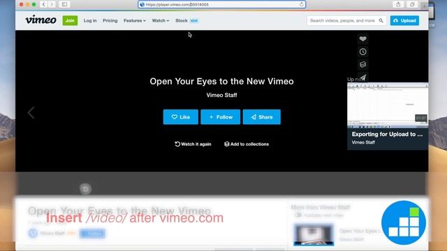 How To Make A Vimeo Video Loop