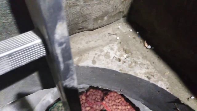 погреб из бетонных колец за 40000 рублей.