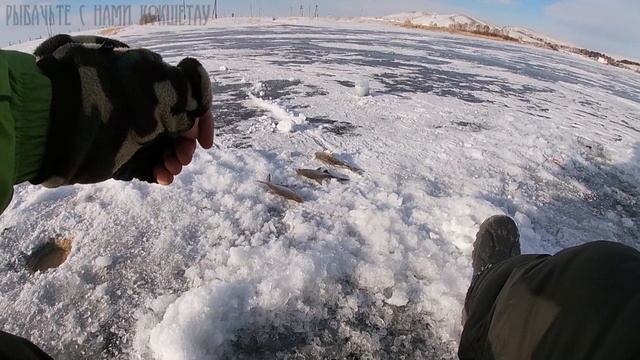 ВОТ ЭТО УДАЧА! ИСКАЛИ РЫБУ ВЕСЬ ДЕНЬ\СУДАК И ЛЕЩ\РЫБАЛКА В КАЗАХСТАНЕ\КОКШЕТАУ смотреть онлайн