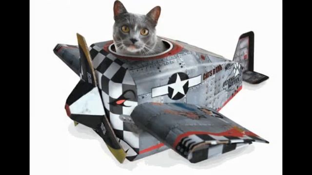 домик когтеточка для кошек недорого смотреть онлайн