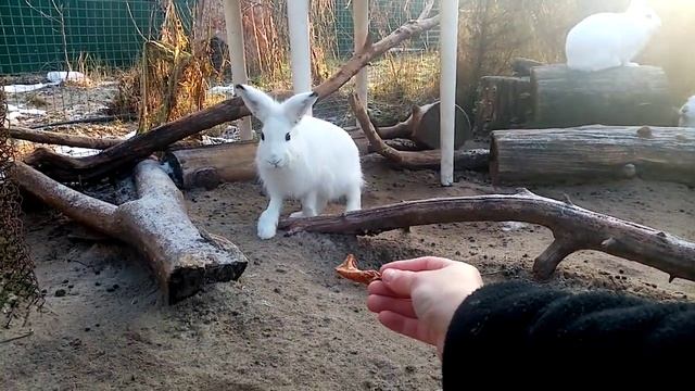 Будешь сухофруктину? Я не трус, но я боюсь! (с) смотреть онлайн