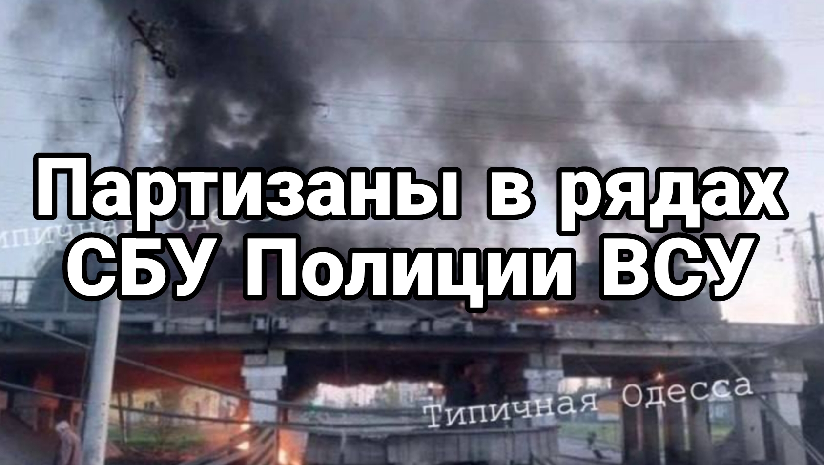 Партизаны в рядах СБУ ВСУ полиции Глубокий инсайд
