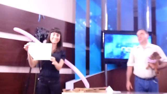 Такса Сосика предсказывает исход матча смотреть онлайн