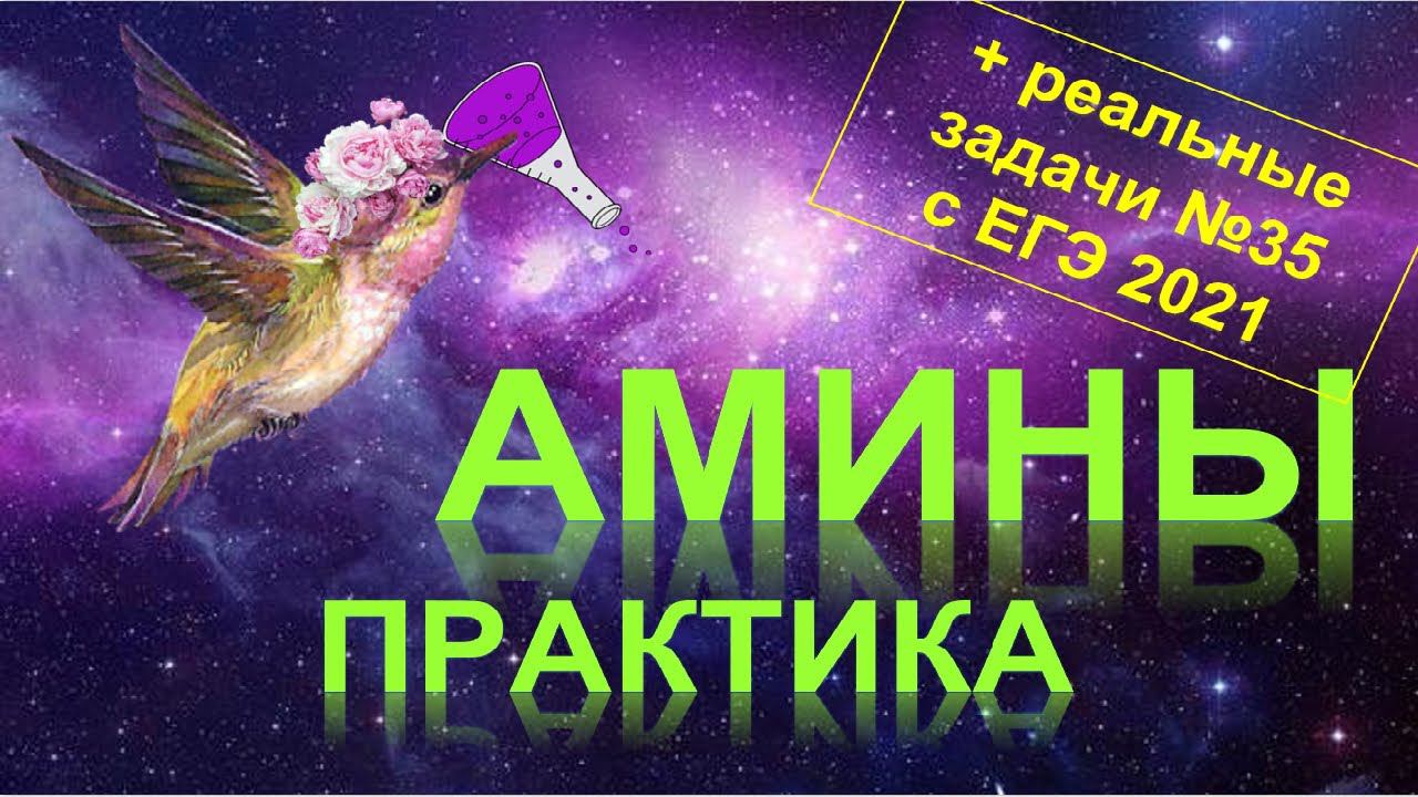 60. Амины (часть 5) + задачи с ЕГЭ 2021 смотреть онлайн