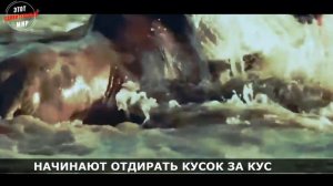 Жестокое нападение Крокодилов на переправе Антилоп Косуль и Зебр. Крокодилы устроили адскую вертушк