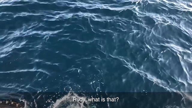 THE FIRST SEASTEADERS 3: Lifting the Stead смотреть онлайн