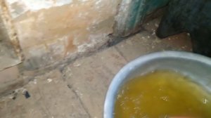 ШтукаТурка пЕчки ГлиНой