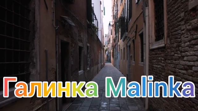 Колесниковы /Когда - нибудь это свинство закончится? /Обзор Влогов / смотреть онлайн