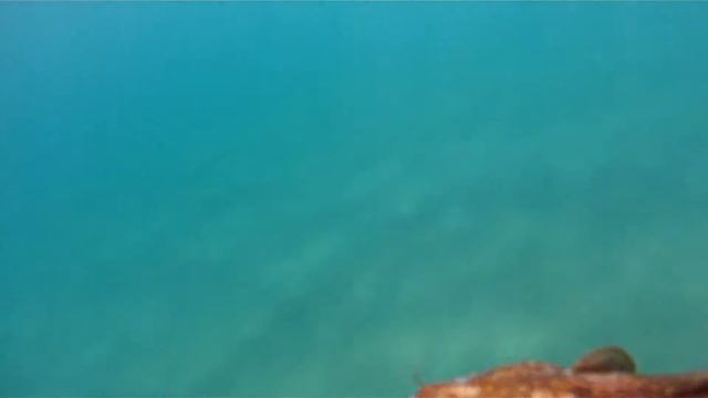 крабий мыс солнечная долина смотреть онлайн