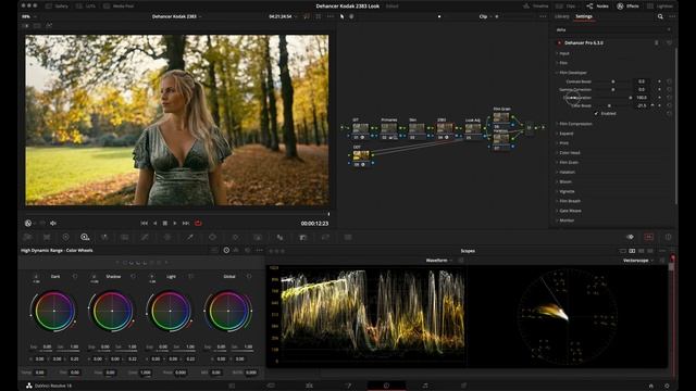 Create A Simple Kodak 2383 Cinematic Look with Dehancer Pro смотреть онлайн
