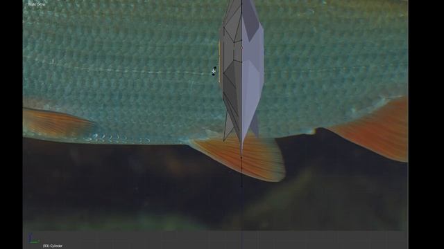 Low Poly Fish - Blender Modeling Timelapse смотреть онлайн