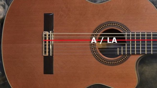 7 Strings Guitar Tuner