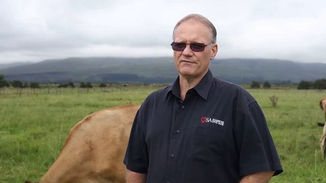 The Jersey in South Africa in 2022 смотреть онлайн