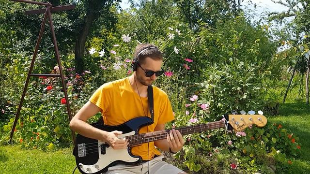 Червона рута_на бас-гітарі! / Song *Red ruta* on bass guitar! смотреть онлайн