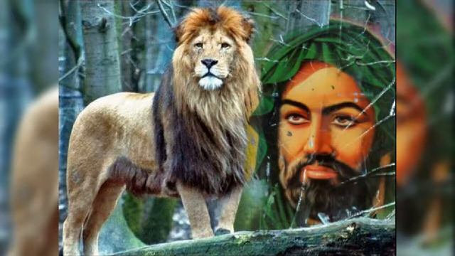 Allahin aslani eli смотреть онлайн