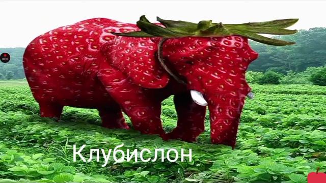 КЛУБНИЧНЫЙ СЛОН 🐘🍓 смотреть онлайн