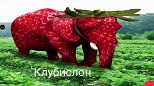 КЛУБНИЧНЫЙ СЛОН 🐘🍓