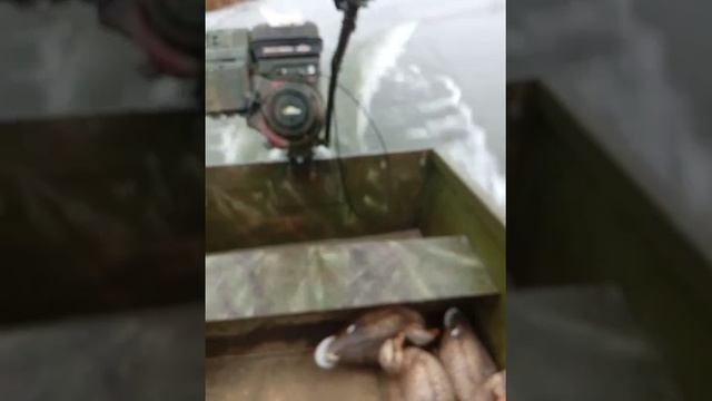 Болотоход 6л.с смотреть онлайн