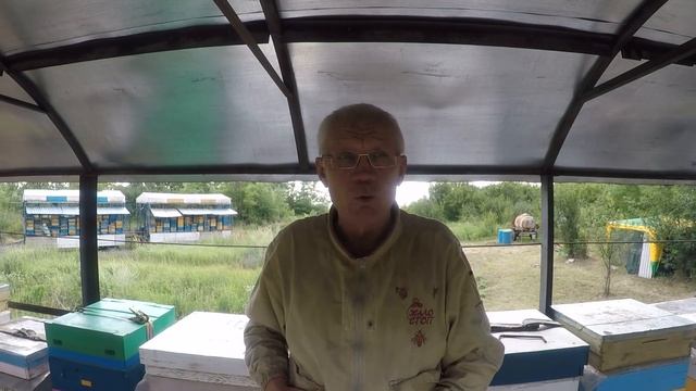 Подсадка маток другой породы Как подсаживать матку в клеточке Дочка украинской степной удивила смотреть онлайн