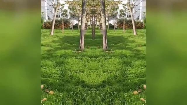 Surah Yasin. Красивое чтение Корана. "Ясин" 36 сура Священного Корана. смотреть онлайн
