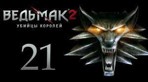 The Witcher 2 / Ведьмак 2 - Кейран - Прохождение игры на русском [#21] | PC (2017 г.)