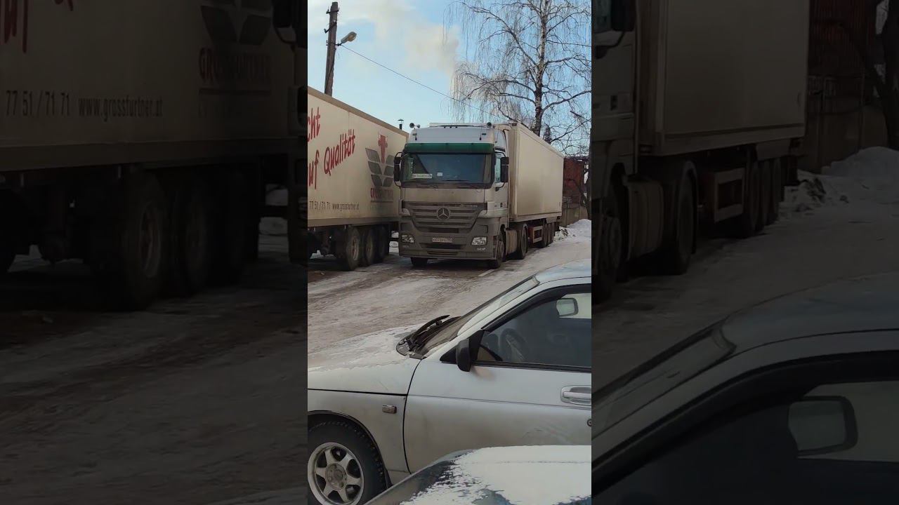 Вольвисты сейчас меня съедят смотреть онлайн