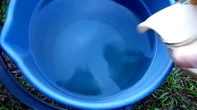 СУПЕР ПОДКОРМКА ТОМАТОВ 3 в 1 ВО ВРЕМЯ ЦВЕТЕНИЯ для увеличения урожая. смотреть онлайн