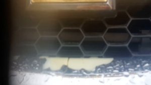 Звук умирания выжимного подшипника в Ниве