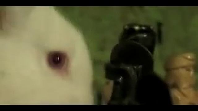 Catalin Crisan- "Am Albit De Dorul Tau" смотреть онлайн