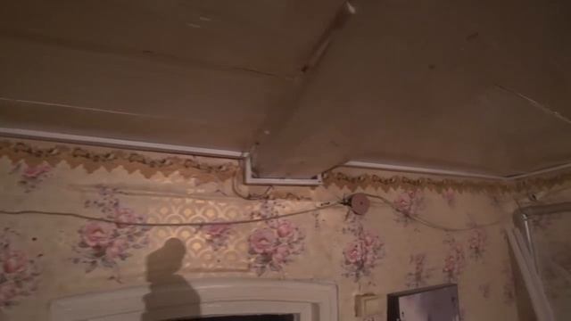 Старые хозяева дома жили на "пороховой бочке". Функционал бани. Выставка собак смотреть онлайн