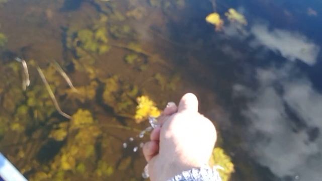 Аэратор Livewell для живца