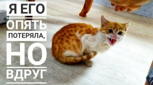 Vlog: РЫЖИК ОПЯТЬ СБЕЖАЛНО ЧЕРЕЗ 3 ДНЯ МНЕ ПОЗВОНИЛ ПАПА И СКАЗАЛ...