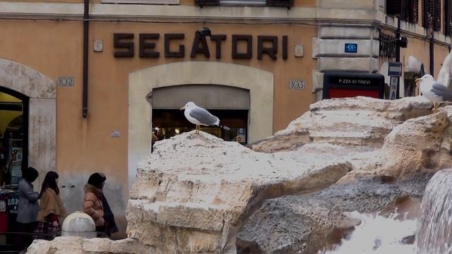 Fontana di Trevi, Roma, Italia. Фонтан Треви, Рим, Италия смотреть онлайн