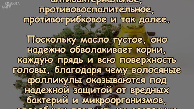 СПАСЕНИЕ ОТ ОБЛЫСЕНИЯ всего за 1 МЕСЯЦ смотреть онлайн