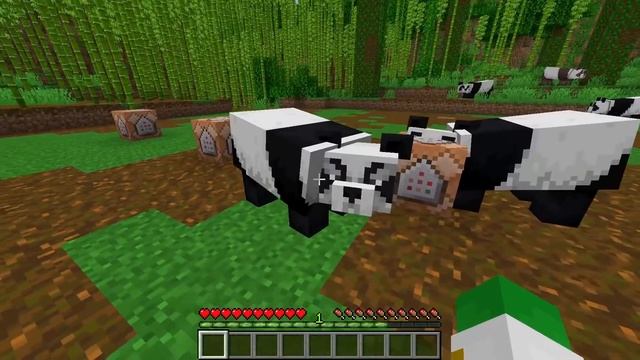 Everything There Is To Know About Pandas In Minecraft - Mob Guide