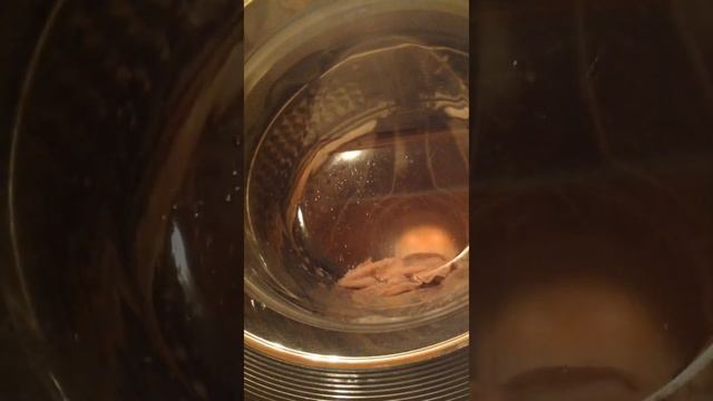 Стирка мягкой игрушки смотреть онлайн