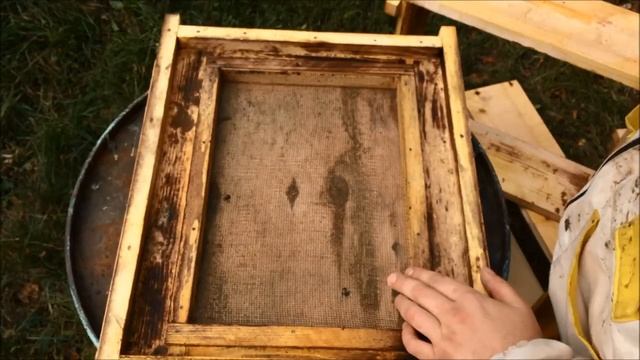 Рогатый улей/улей Паливоды. Мои впечатления после года эксплуатации? Какие плюсы и минусы? смотреть онлайн