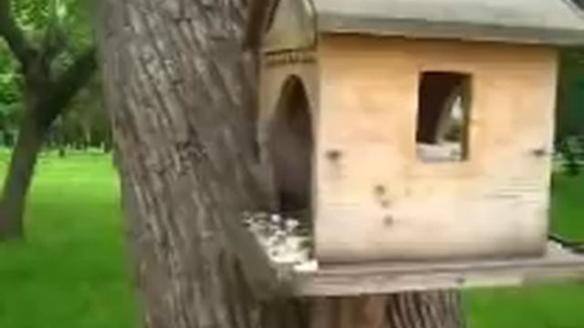 САМВЕЛ АДАМЯН ИГРА В КАРТЫ НА РОЖДЕСТВО. ГОЛОДНЫЕ АРТИСТЫ В ТЕАТРЕ смотреть онлайн