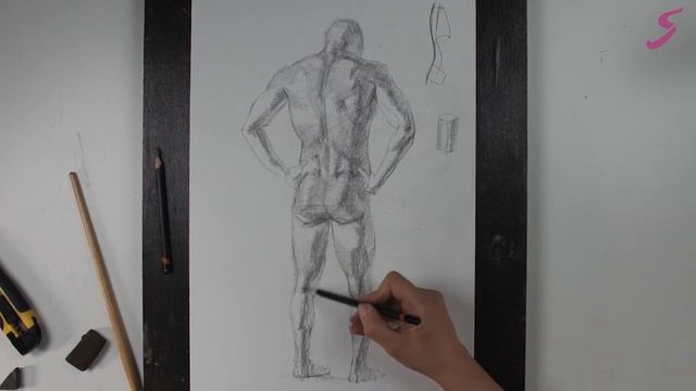 Рисунок. Фигура человека. Мужская фигура (вид сзади)-2 смотреть онлайн