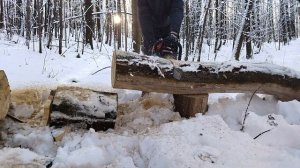 Бензопила Matsumoto MGS-58 в деле.  Мощный дуб как ножом по маслу