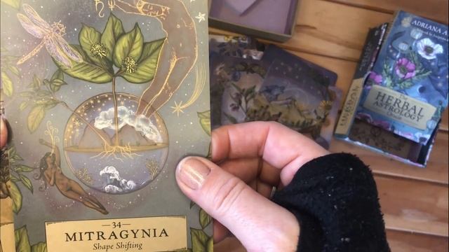 Unboxing & quick review: The Herbal Astrology Oracle ‐ Adriana Ayales смотреть онлайн