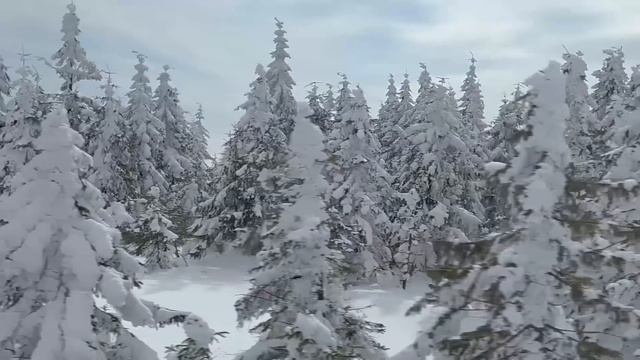 2 Hour ✰ Top Traditional Christmas Songs Ever | Best Classic Christmas Songs Collection 2020 смотреть онлайн