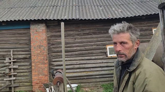 Жеребец познакомился с кобылай и успокоился смотреть онлайн