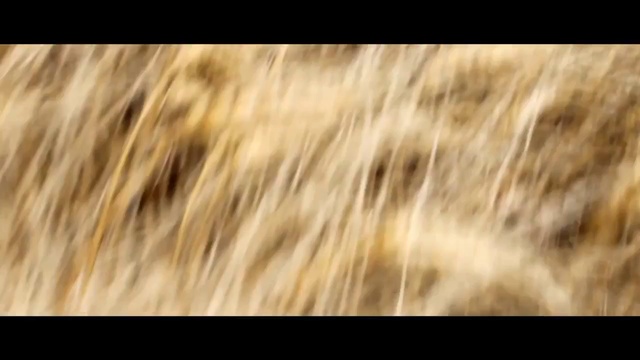 RSM 161 на полях Чехии